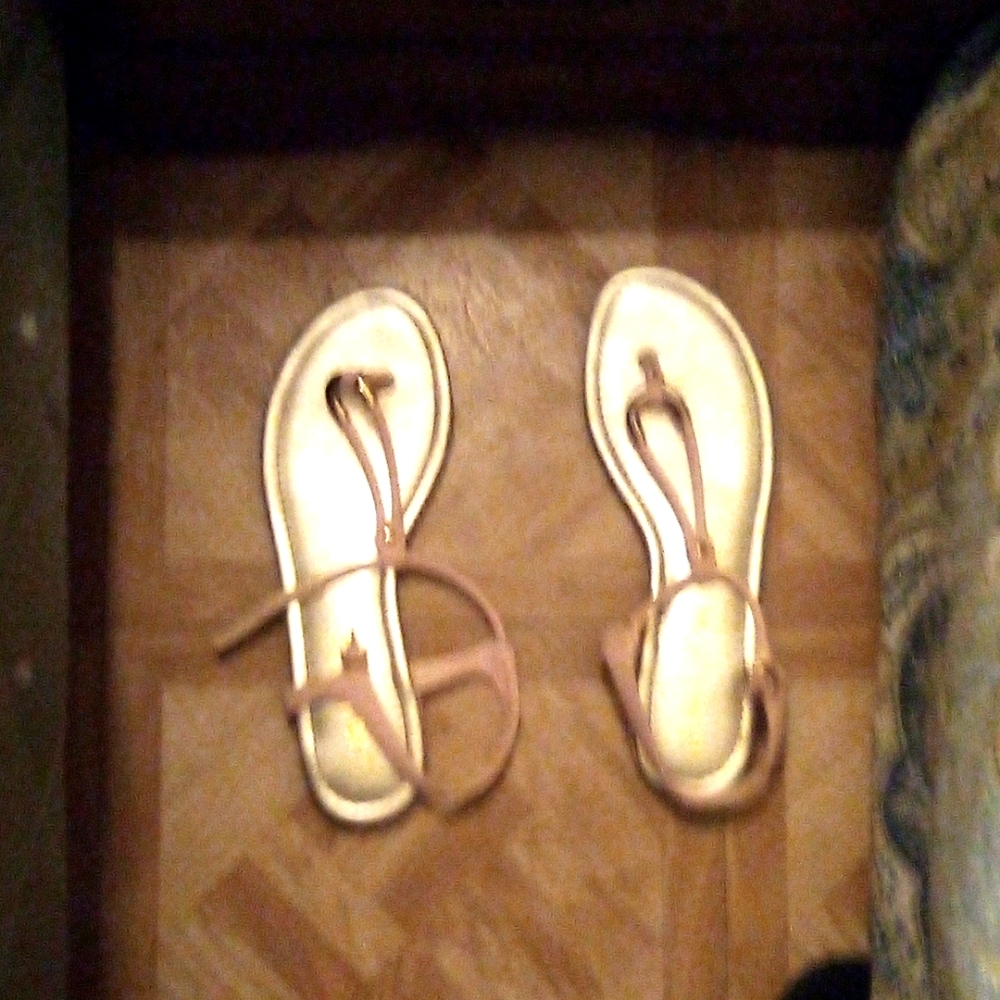 Sandles